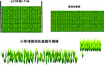 小草绿围挡图案矢量图