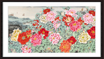 牡丹花开