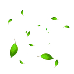 绿色植物漂浮树叶元素
