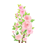 卡通插画装饰花朵元素