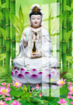 观音菩萨