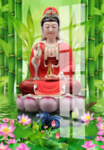 观音菩萨