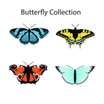 彩色蝴蝶花鸟昆虫图案素材矢量