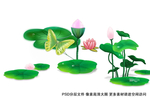 荷塘 荷花