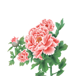国潮工笔画芙蓉花元素