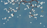 梅花