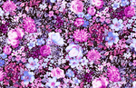 红粉花