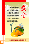 安全海报
