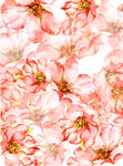 手绘花朵 数码印花