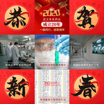 恭贺新春九宫