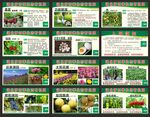 生态采摘园有机水果展板