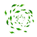 卡通装饰树叶叶片元素