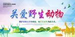 关爱野生动物
