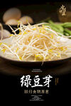 绿豆芽海报
