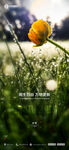 谷雨刷屏海报