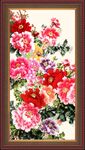 牡丹花开富贵 