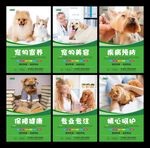 宠物店海报 宠物店挂图