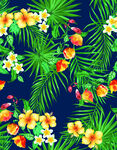 热带花