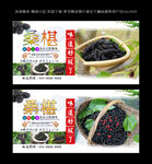 桑葚