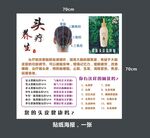 头疗海报