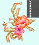 牡丹花