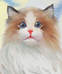 手绘水彩风格猫咪插画
