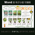 word版小报植物向日葵生长记