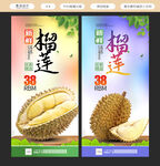 榴莲海报