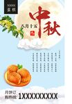 蛋糕店中秋节月饼海报