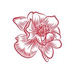 手绘花矢量