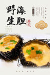 海胆蒸蛋海报