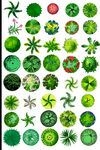 植物平面素材PSD