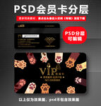 宠物会员VIP卡  