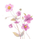 手绘花