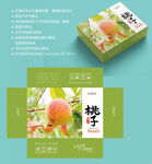 桃子包装设计 蜜桃盒子