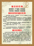 铺灸的作用