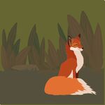 狐狸