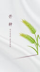 芒种24节气简约海报小麦丰收