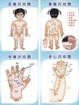 儿童穴位图