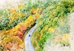 森林里的路手绘彩绘水彩画装饰画