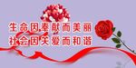 美丽和谐 