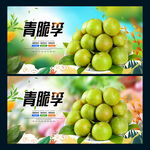 青脆李