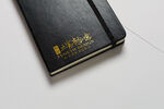高端LOGO样机