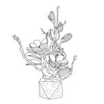 盆栽植物 矢量图