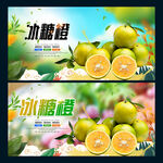 冰糖橙