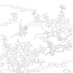 牡丹花