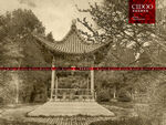 陕西师范大学