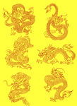 龙