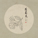 手绘茉莉花