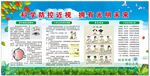 保护眼睛爱眼护眼展板